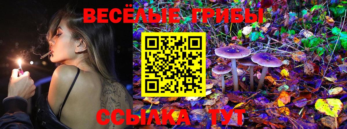 Галлюциногенные грибы Cubensis Гатчина