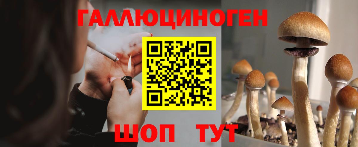 Гатчина  Галлюциногенные грибы Magic Shrooms  Вход с VPN 