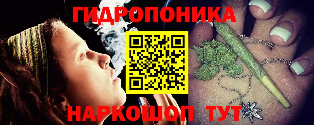 Гатчина  Бошки Шишки LSD WEED  Канабис сатива  Вход с VPN  Конопля планчик 